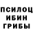 Псилоцибиновые грибы ЛСД Nice Guy48