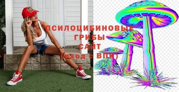 прущие крисы Белокуриха