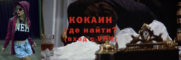 прущие крисы Белокуриха